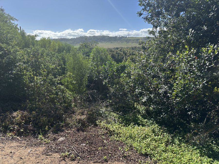 0 Bedroom Property for Sale in Tergniet Western Cape